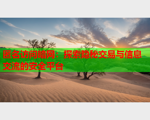 匿名访问暗网：探索隐秘交易与信息交流的安全平台