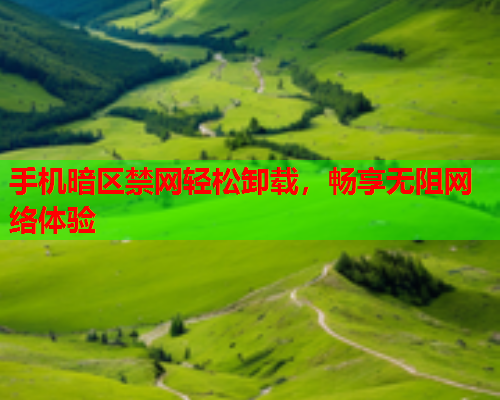 手机暗区禁网轻松卸载，畅享无阻网络体验