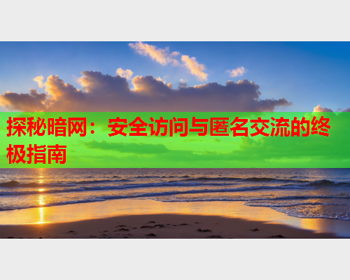 探秘暗网：安全访问与匿名交流的终极指南