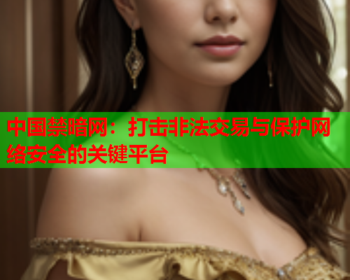 中国禁暗网：打击非法交易与保护网络安全的关键平台
