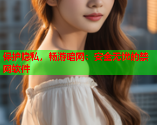 保护隐私，畅游暗网：安全无忧的禁网软件