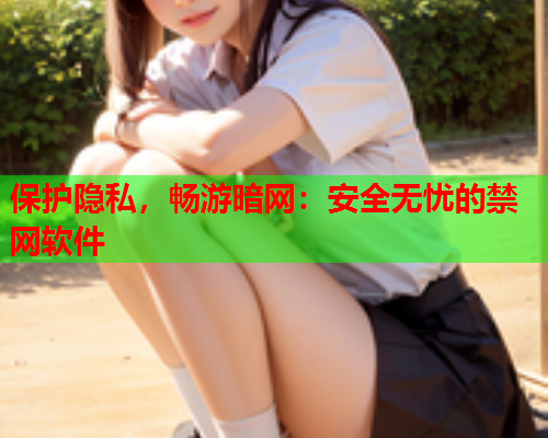 保护隐私，畅游暗网：安全无忧的禁网软件