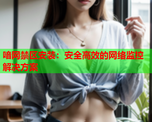 喑网禁区安装：安全高效的网络监控解决方案