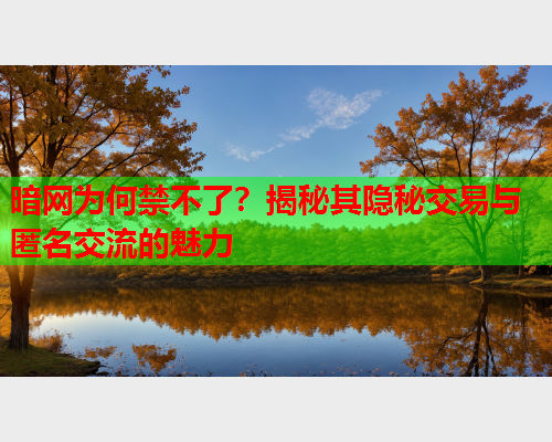 暗网为何禁不了？揭秘其隐秘交易与匿名交流的魅力