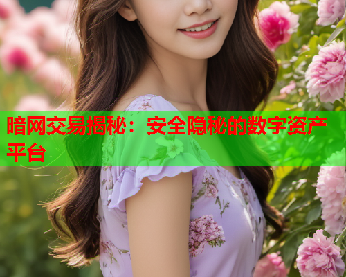 暗网交易揭秘：安全隐秘的数字资产平台