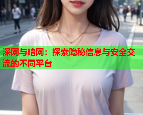 深网与暗网：探索隐秘信息与安全交流的不同平台