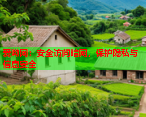 爱呦网：安全访问暗网，保护隐私与信息安全