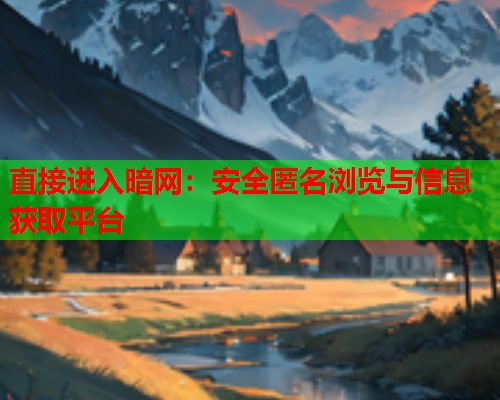 直接进入暗网：安全匿名浏览与信息获取平台