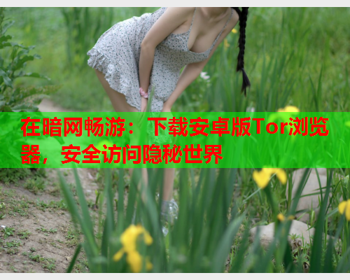 在暗网畅游：下载安卓版Tor浏览器，安全访问隐秘世界