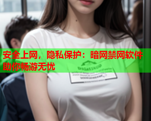 安全上网，隐私保护：暗网禁网软件助你畅游无忧