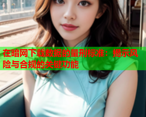 在暗网下载数据的量刑标准：揭示风险与合规的关键功能
