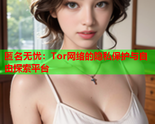 匿名无忧：Tor网络的隐私保护与自由探索平台