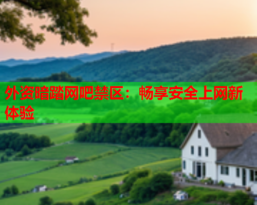 外资暗踏网吧禁区：畅享安全上网新体验