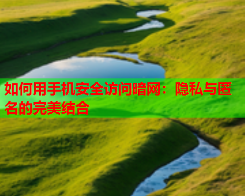 如何用手机安全访问暗网：隐私与匿名的完美结合