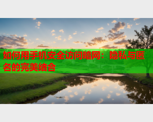 如何用手机安全访问暗网：隐私与匿名的完美结合