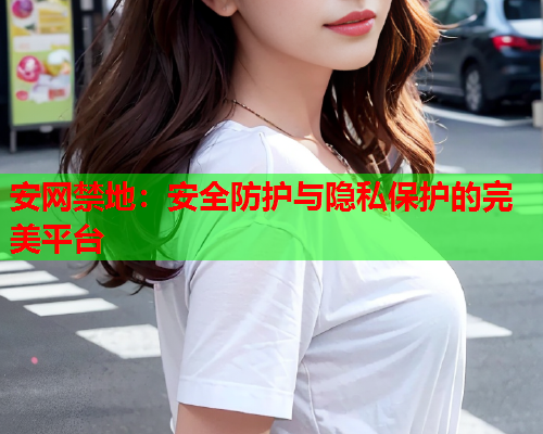 安网禁地：安全防护与隐私保护的完美平台