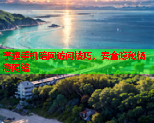 掌握手机暗网访问技巧，安全隐秘畅游网络