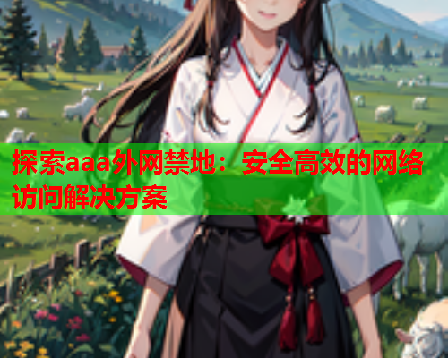 探索aaa外网禁地：安全高效的网络访问解决方案