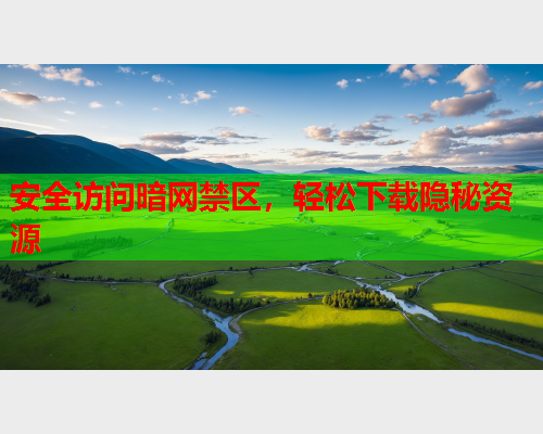 安全访问暗网禁区，轻松下载隐秘资源