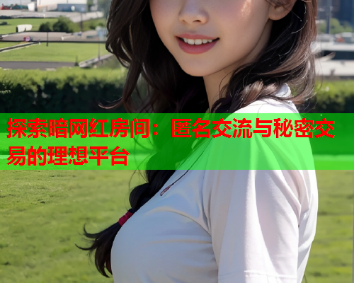 探索暗网红房间：匿名交流与秘密交易的理想平台