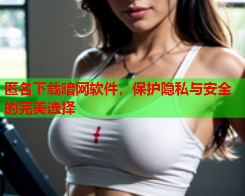 匿名下载暗网软件，保护隐私与安全的完美选择