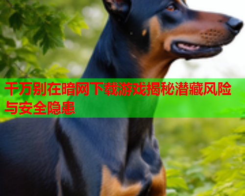 千万别在暗网下载游戏揭秘潜藏风险与安全隐患