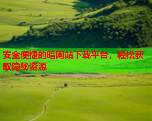 安全便捷的暗网站下载平台，轻松获取隐秘资源