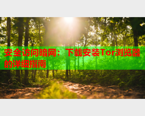 安全访问暗网：下载安装Tor浏览器的详细指南