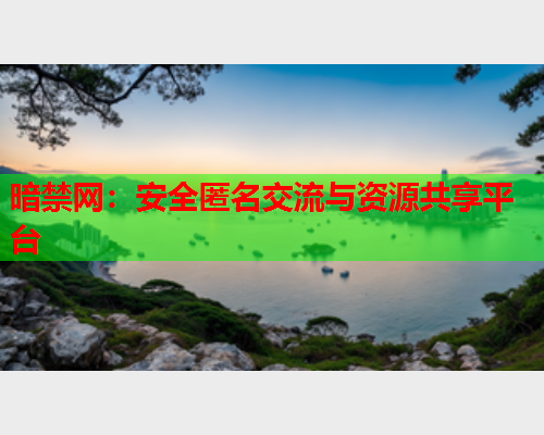 暗禁网：安全匿名交流与资源共享平台