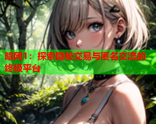 暗网1：探索隐秘交易与匿名交流的终极平台