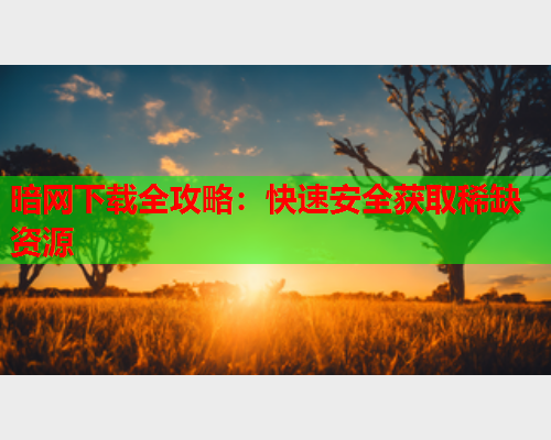 暗网下载全攻略：快速安全获取稀缺资源