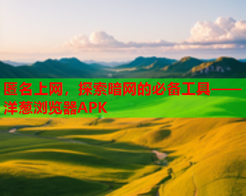 匿名上网，探索暗网的必备工具——洋葱浏览器APK