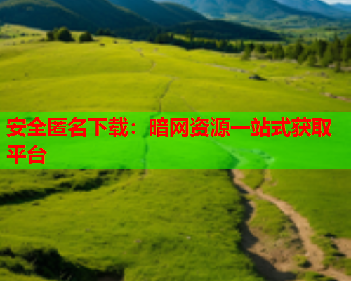 安全匿名下载：暗网资源一站式获取平台