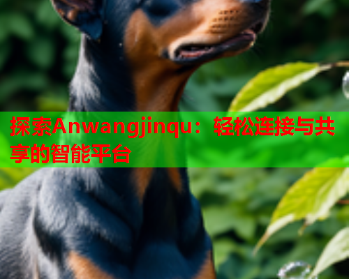 探索Anwangjinqu：轻松连接与共享的智能平台