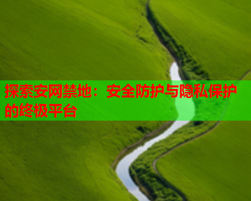 探索安网禁地：安全防护与隐私保护的终极平台