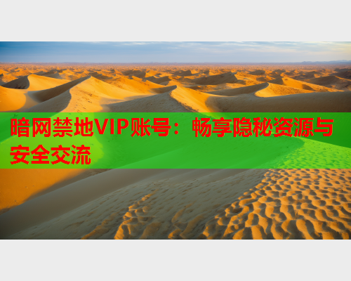 暗网禁地VIP账号：畅享隐秘资源与安全交流