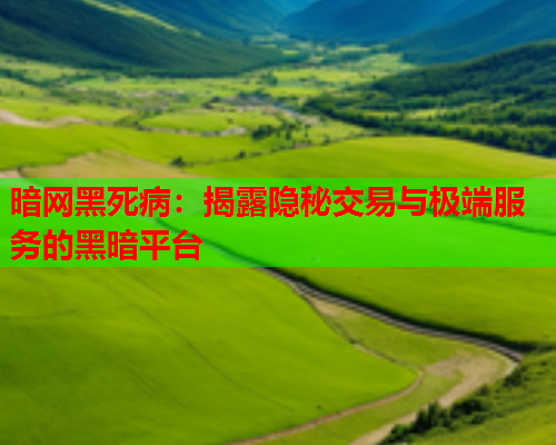 暗网黑死病：揭露隐秘交易与极端服务的黑暗平台