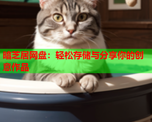 暗芝居网盘：轻松存储与分享你的创意作品