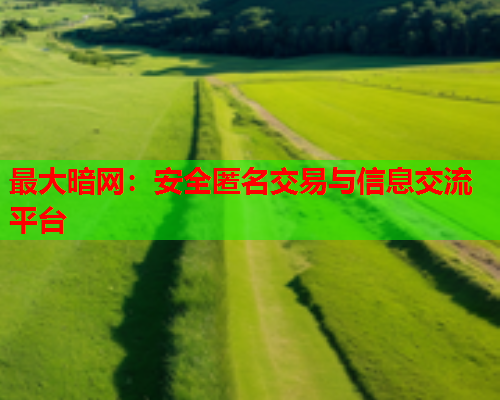 最大暗网：安全匿名交易与信息交流平台