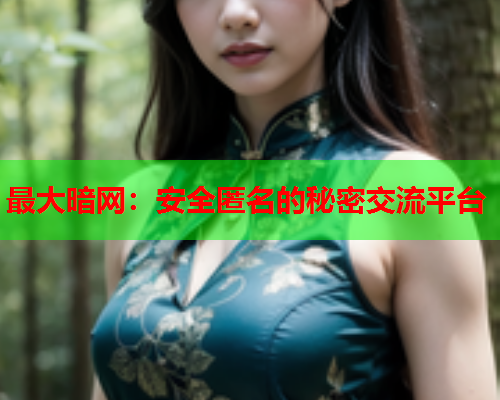 最大暗网：安全匿名的秘密交流平台